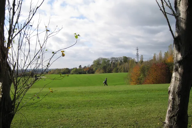 Nine Holes, Full Purpose: The Thoughtful Case for Shorter Golf at Greer